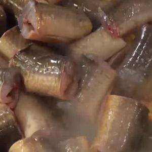 Cách làm lẩu lươn hoa chuối