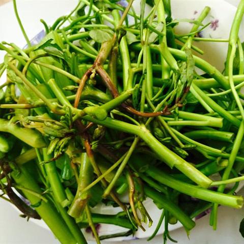 Cách làm lẩu vịt om trái sấu