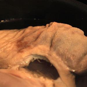 Cách làm lưỡi heo và bao tử trộn dưa cải chua