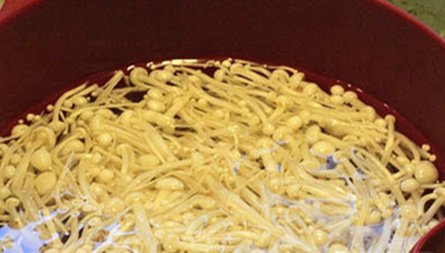 Lưỡi lợn nấu ragu ăn với bánh mì ngon không cưỡng nổi