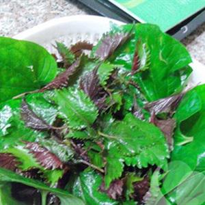 Cách làm lươn om riềng mẻ