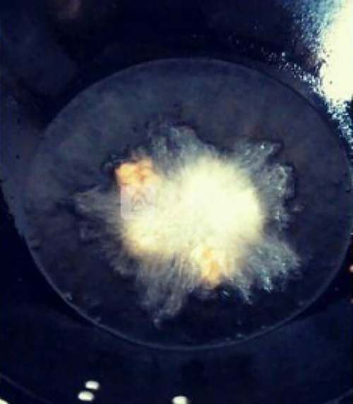 Mách bạn cách làm nem xôi lạ miệng, ăn là nghiền