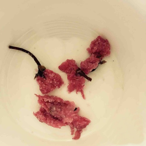 Mâm cơm 5 người thơm ngon chỉ với 90 nghìn đồng