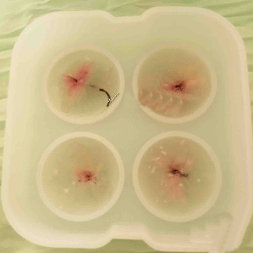 Mâm cơm 5 người thơm ngon chỉ với 90 nghìn đồng