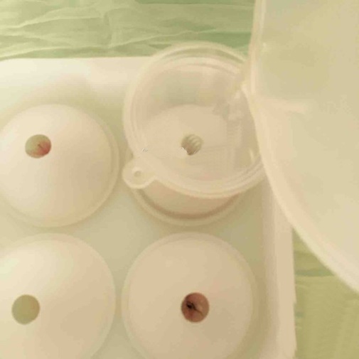 Mâm cơm 5 người thơm ngon chỉ với 90 nghìn đồng