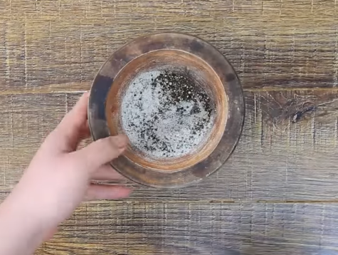 Mát trời trổ tài làm ếch om chuối đậu nóng hổi, đậm đà hương vị quê nhà