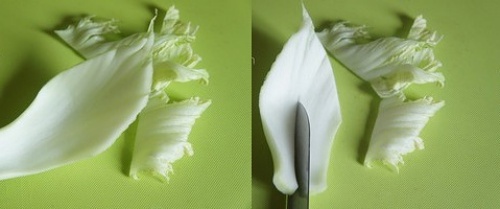 Mề gà chiên giòn giản dị đổi vị cho bữa tối