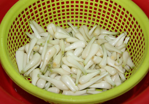 Mẹo hay cách muối dưa kiệu ngon giòn không hăng của ngoại quê