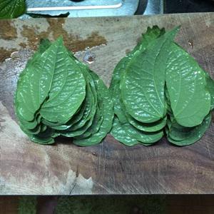 Cách làm mì căn nướng