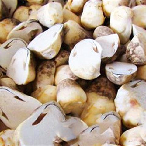 Cách làm mì hoành thánh sốt nấm