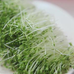 Cách làm mì lạnh kiểu Nhật