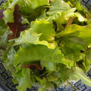 Cách nấu mì quảng