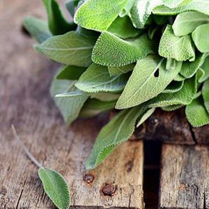 Cách làm mì trộn bí ngòi