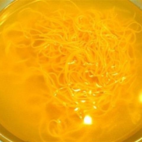 Cách làm mì trứng cuộn thịt