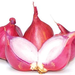 Cách làm mì xào thịt gà