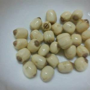 Cách làm miến gà hạt sen