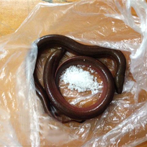 Cách làm miến lươn chiên giòn