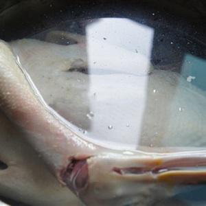 Cách làm miến măng ngan