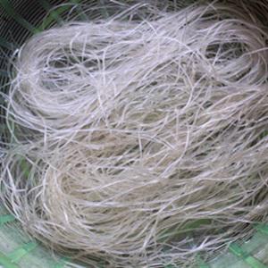 Cách làm miến nấu tôm tươi