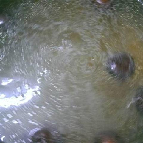 Cách làm miến thịt gà