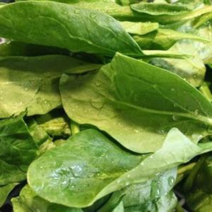 Cách làm miến trộn theo kiểu Hàn