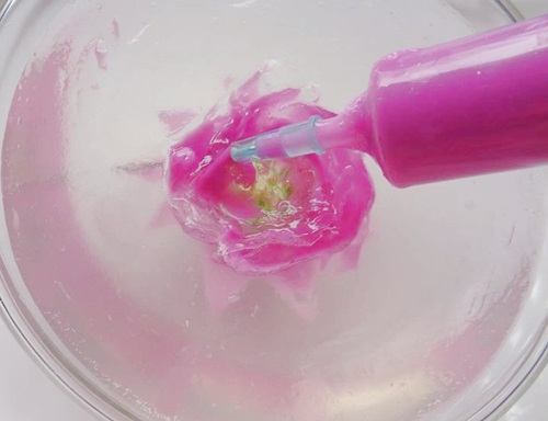 Miến trộn tôm thơm lừng, bổ dưỡng, nhìn đã thích mê