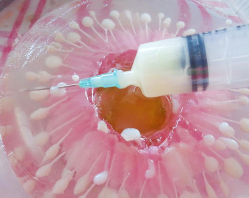 Miến trộn tôm thơm lừng, bổ dưỡng, nhìn đã thích mê