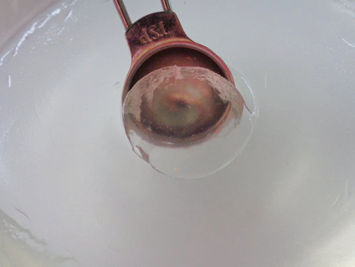 Miến trộn tôm thơm lừng, bổ dưỡng, nhìn đã thích mê