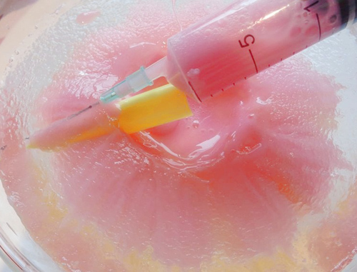 Miến trộn tôm thơm lừng, bổ dưỡng, nhìn đã thích mê