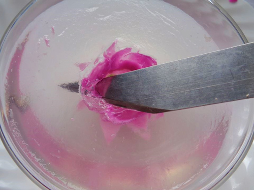 Miến trộn tôm thơm lừng, bổ dưỡng, nhìn đã thích mê