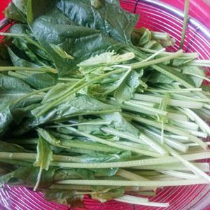 Cách làm miến trộn với rau cải