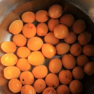 Cách làm mơ ngâm đường