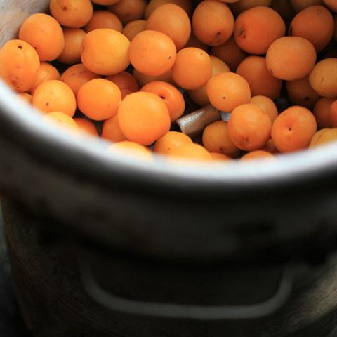 Cách làm mơ ngâm đường