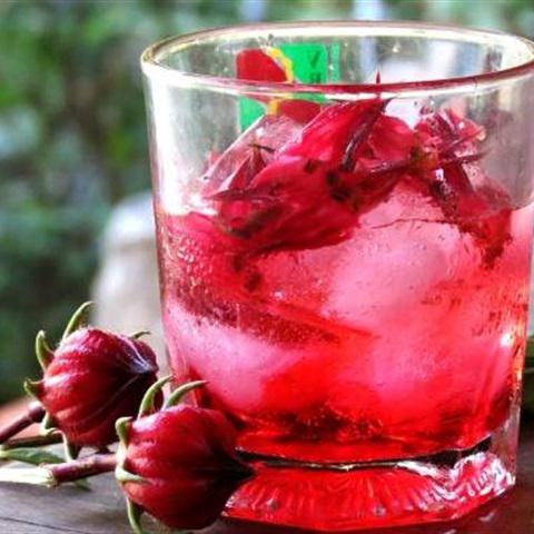Cách làm mocktail atiso đỏ