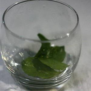 Cách làm mojito chanh bạc hà