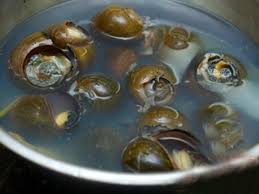 Món ngon cuối tuần: Ốc nấu măng