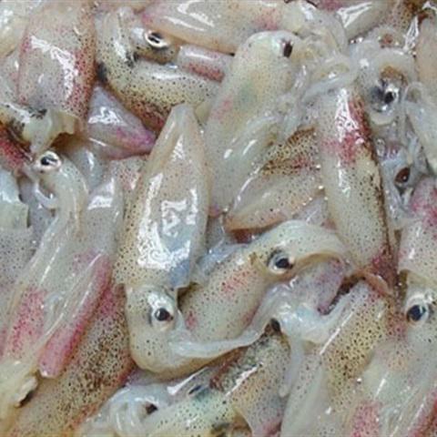 Cách làm mực xào dưa chua