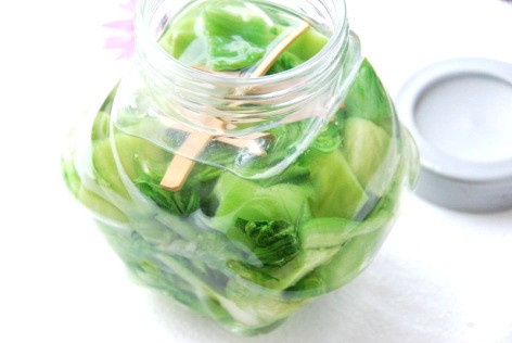 Muối dưa cải chua đơn giản