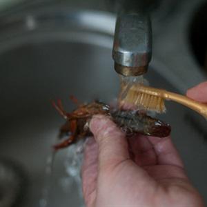 Cách làm mướp nhồi tôm hấp