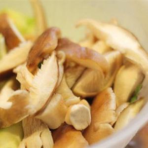 Cách làm mướp xào nấm