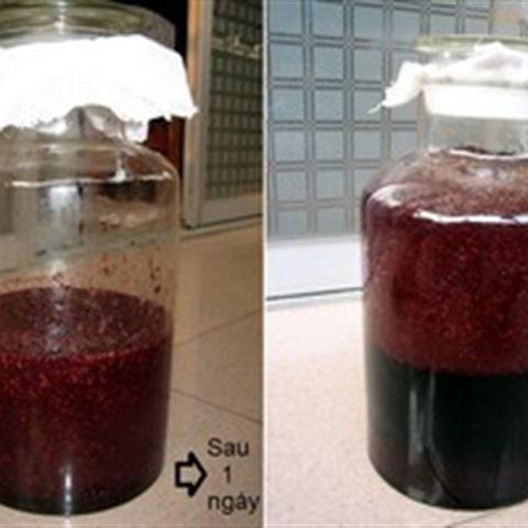 Cách làm mứt dâu tằm ngọt ngào