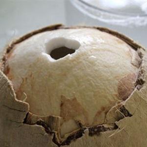 Cách làm mứt sữa dừa