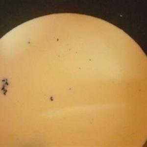 Cách làm mứt sữa