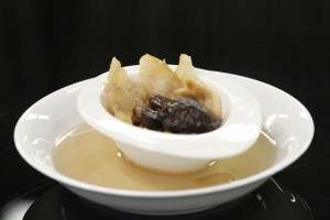 Nấm bào ngư tần