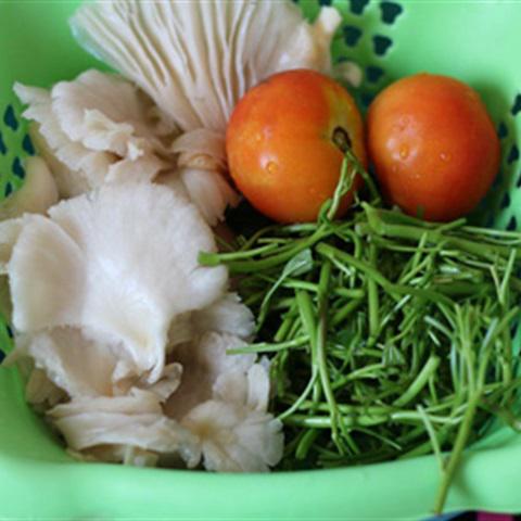 Cách làm nấm bào ngư xào rau muống