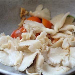 Cách làm nấm bào ngư xào rau muống