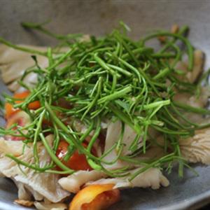 Cách làm nấm bào ngư xào rau muống