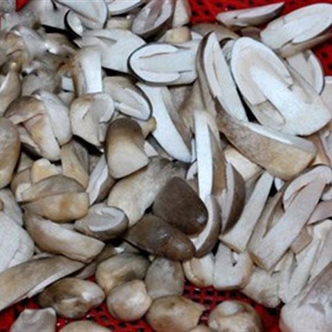 Cách làm nấm rơm xào đậu hũ