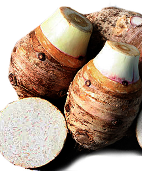 Nấu canh khoai môn ngon ngày mưa