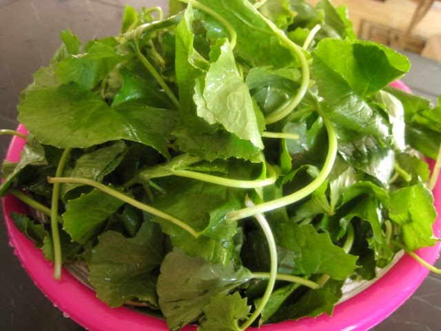 Nấu canh rau má ngon giải nhiệt